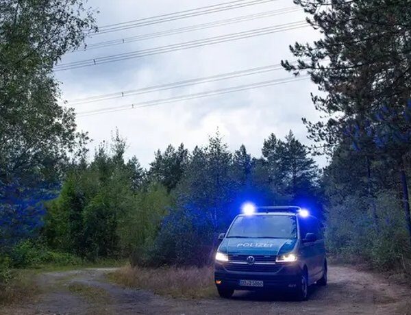 21 вибухівка біля ЛЕП у Німеччині: хто відповідальний