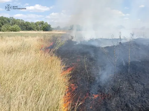 У Кременчуцькому районі безпілотник спричинив займання сухої трави